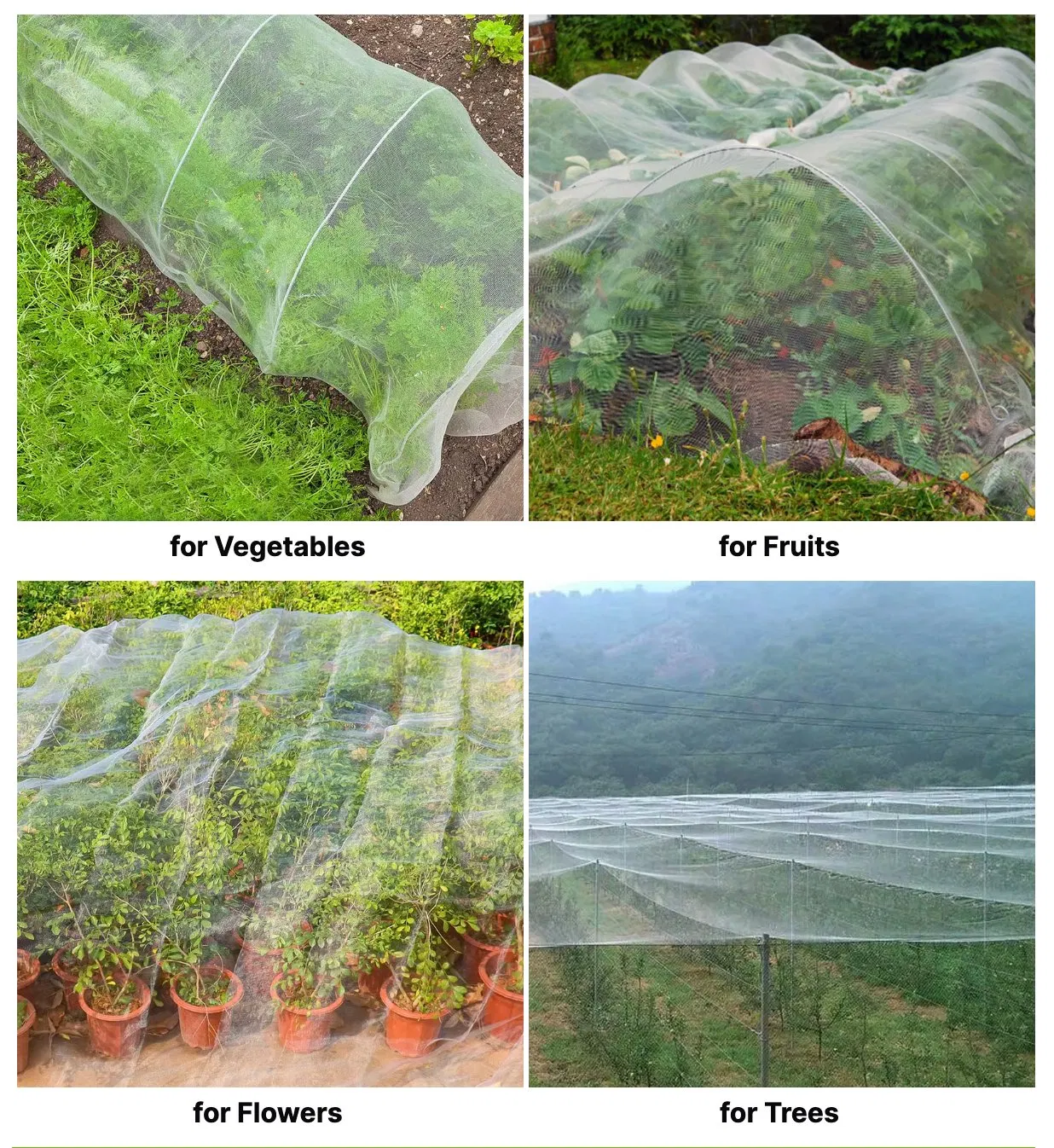 100% HDPE UV Fruit Tree Fly Net Anti Insect Mesh Insect Netting Agricultural 5 Years