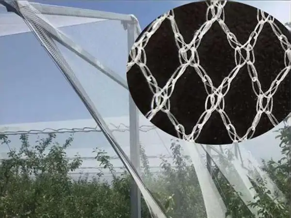 Anti Hail Net